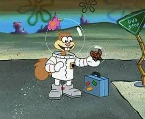 25a Sandy Cheeks.jpg