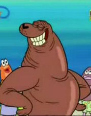 Datei:Rocky Robbenroll.jpg