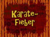 14b Episodenkarte-Karatefieber.jpg