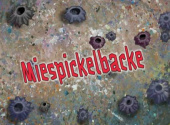 164a Episodenkarte-Miespickelbacke.jpg