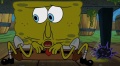 234b SpongeBob-Seeigel.JPG