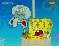 53b Thaddäus-SpongeBob.jpg